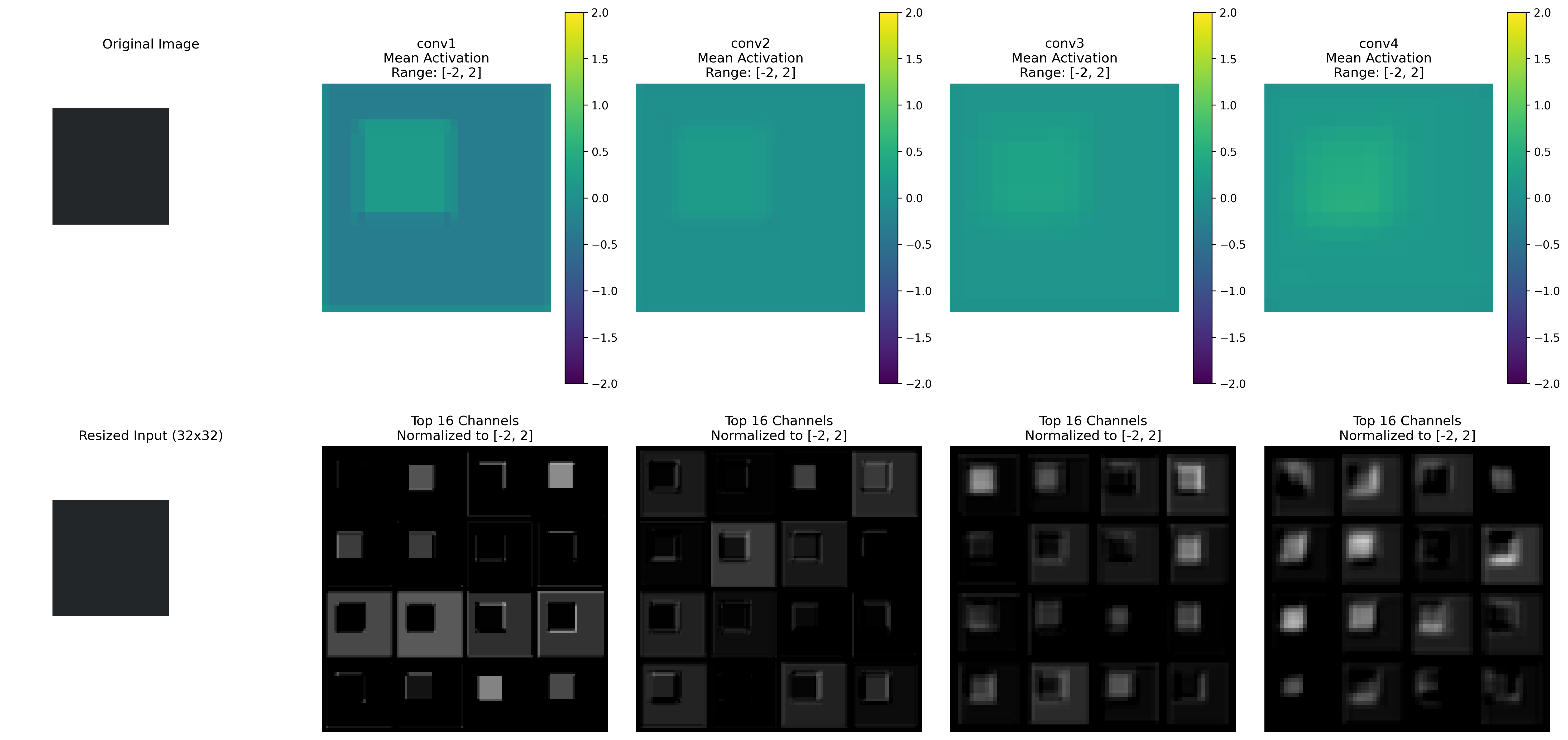 Activation Visualization